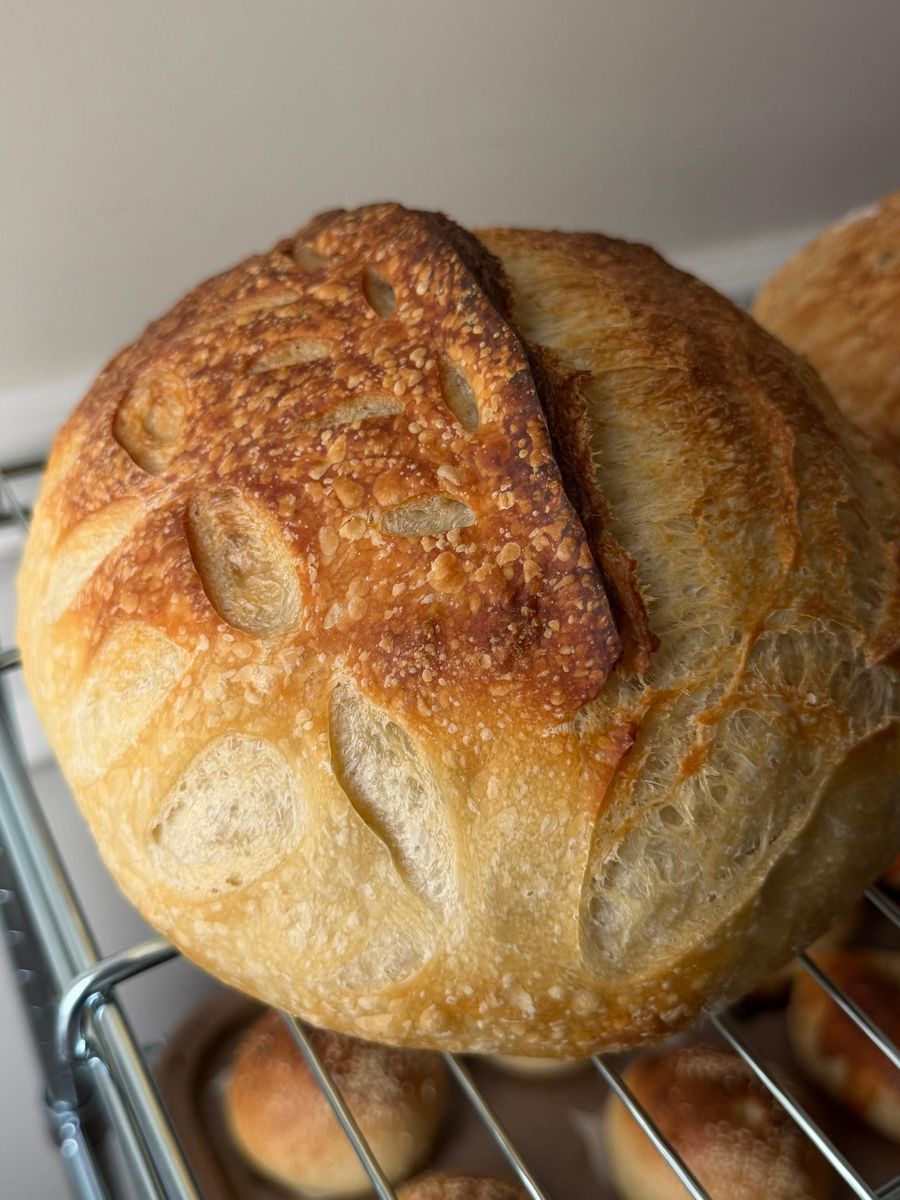 Artisan Regular Loaf