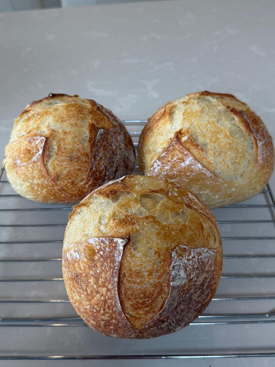 Freshly baked sourdough boules cooling on a rack